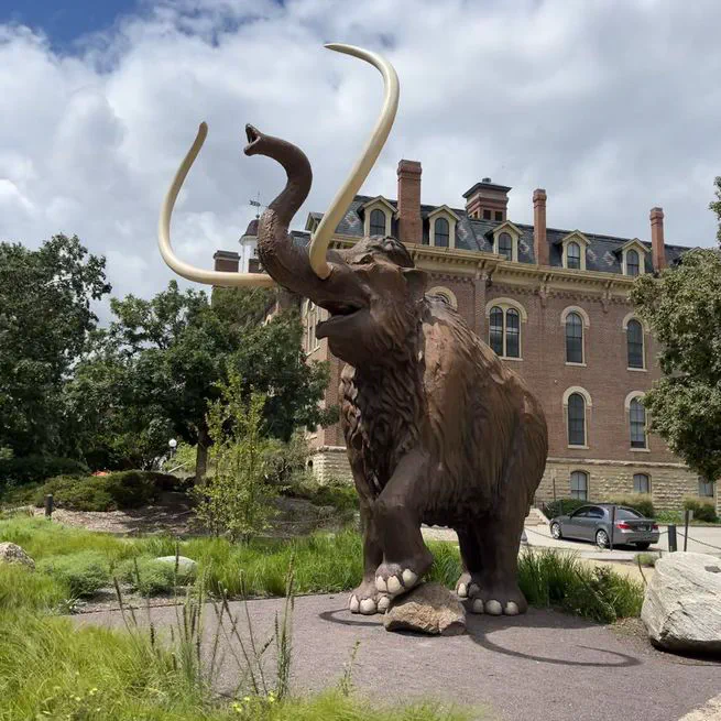 🎉 I joined University of Illinois Urbana-Champaign as a research scientist